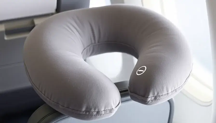 Travel Pillow